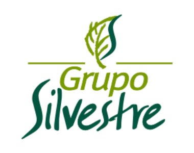 GRUPO SILVESTRE