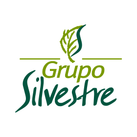 GRUPO SILVESTRE