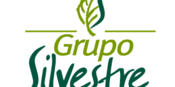 GRUPO SILVESTRE