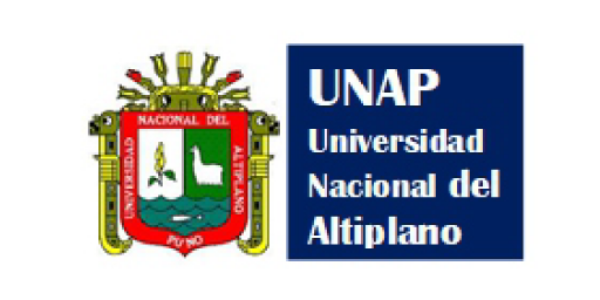 UNIVERSIDAD NACIONAL DEL ALTIPLANO PUNO