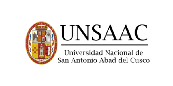 UNIVERSIDAD NACIONAL SAN ANTONIO ABAD DEL CUSCO