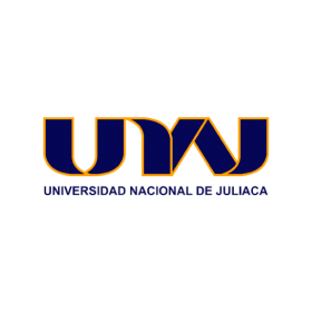 UNIVERSIDAD NACIONAL DE JULIACA