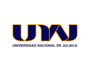 UNIVERSIDAD NACIONAL DE JULIACA