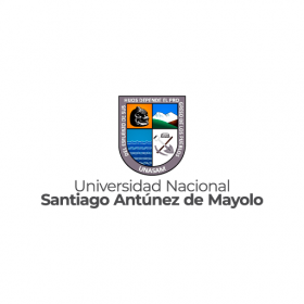 UNIVERSIDAD NACIONAL SANTIAGO ANTÚNEZ DE MAYOLO
