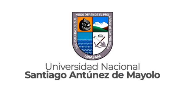 UNIVERSIDAD NACIONAL SANTIAGO ANTÚNEZ DE MAYOLO