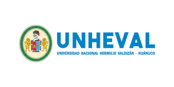 Universidad Nacional Hermilio Valdizán