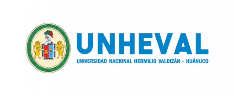 Universidad Nacional Hermilio Valdizán